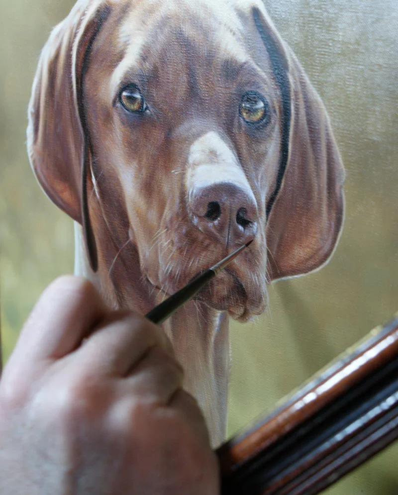 Hungarian Vizsla Painting - Nearly Complete Hungarian Vizsla painting of Hattie nearly complete.