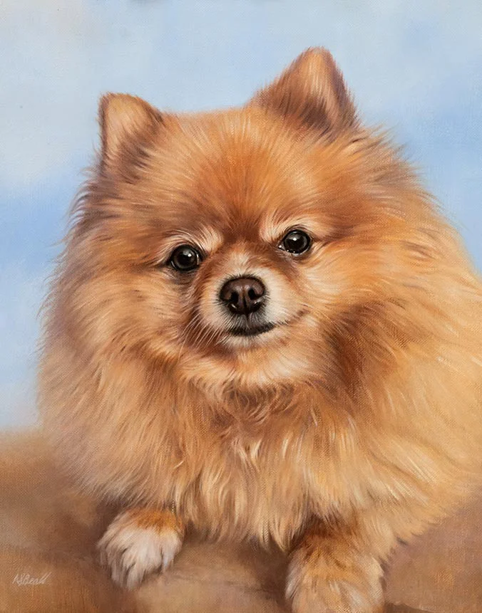 Oil painting of Boo, an adorable Pomeranian dog, by Nicholas Beall.
