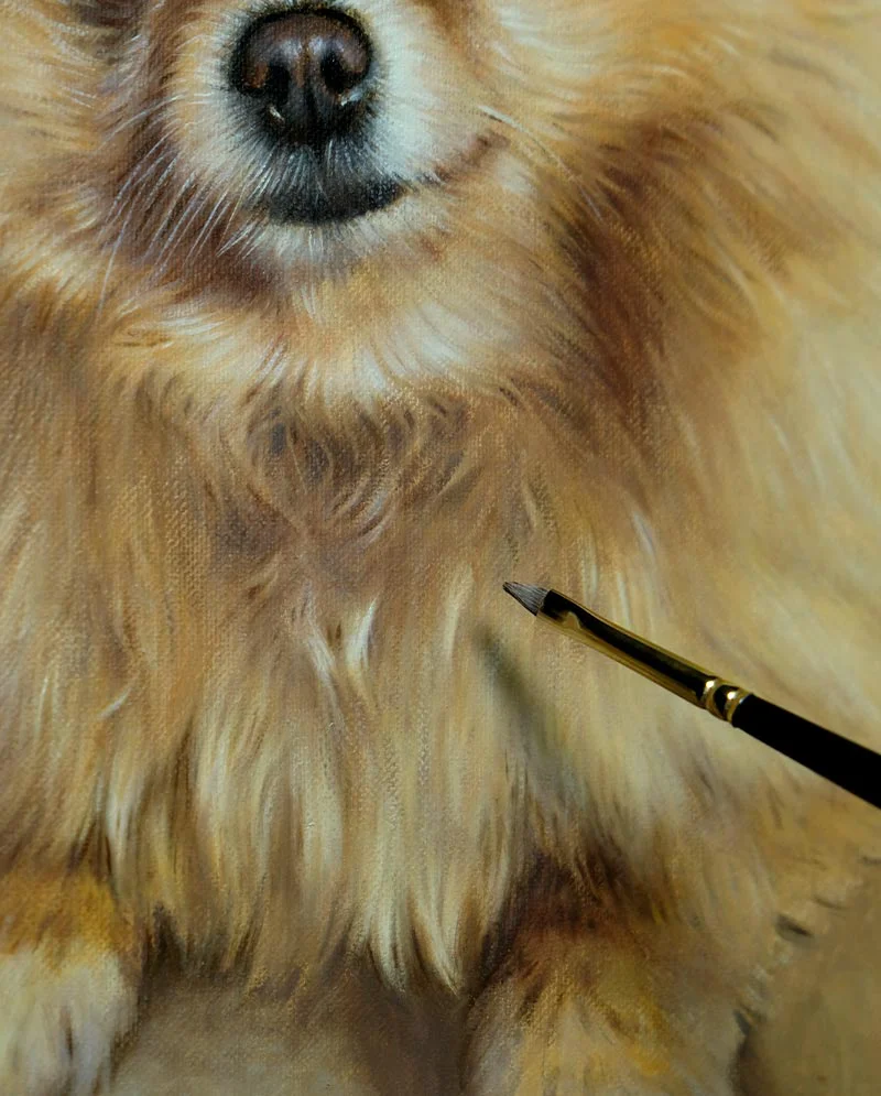 Close-up showing the technique of building fur texture in oil paint for the Pomeranian