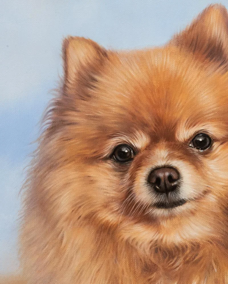 Close-Up of Finished Pomeranian Painting