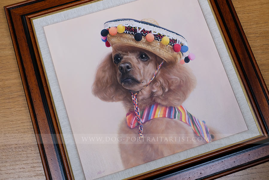 Poodle Dog Portrait