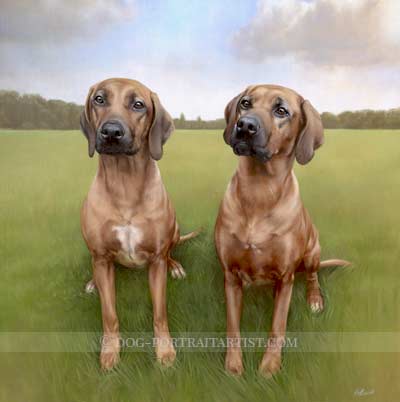 Rhodesian Ridgeback Dog Portraits