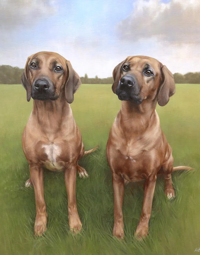 Oil painting of Amba and Maddie, two majestic Rhodesian Ridgeback dogs, captured together, by Nicholas Beall.