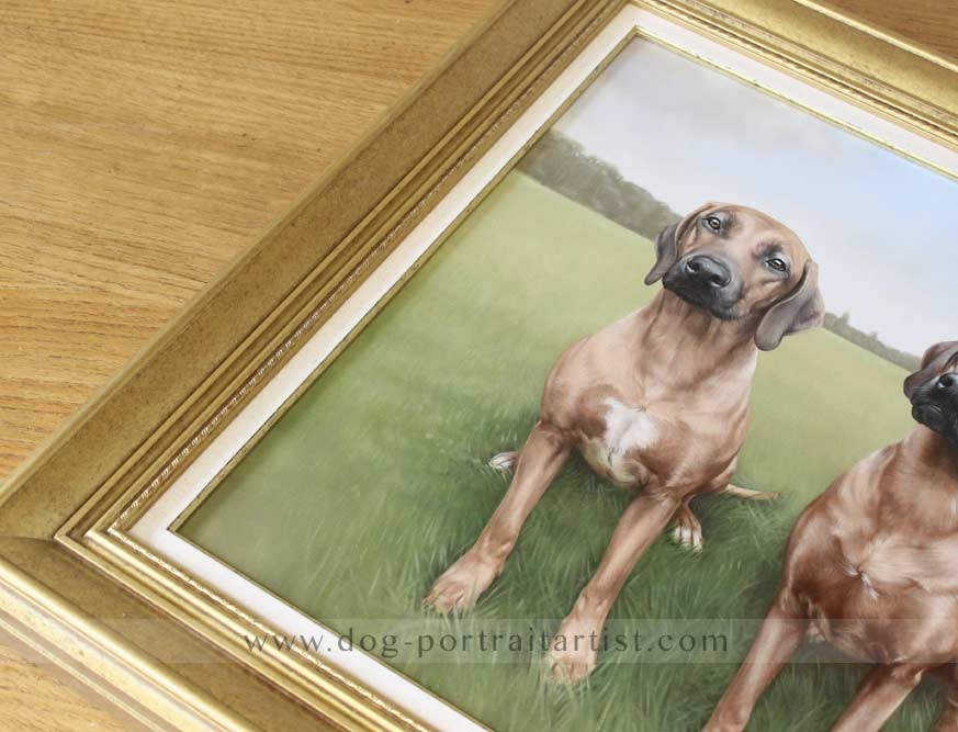 Rhodesian Ridgeback Dog Portraits Framed