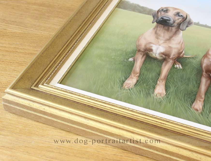 Rhodesian Ridgeback Dog Portraits Framed