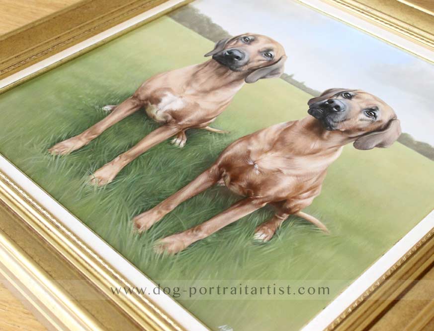 Rhodesian Ridgeback Dog Portraits Framed