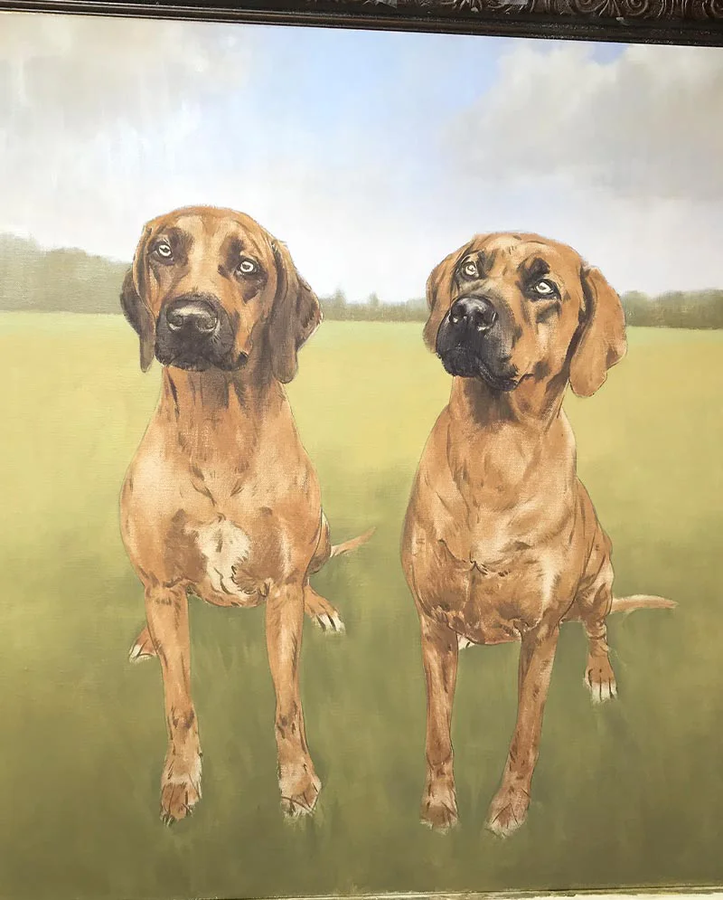 Early Stages of Rhodesian Ridgeback Oil Portrait, foundational layers Early stages of the Rhodesian Ridgeback oil portrait, outlining the dogs' forms