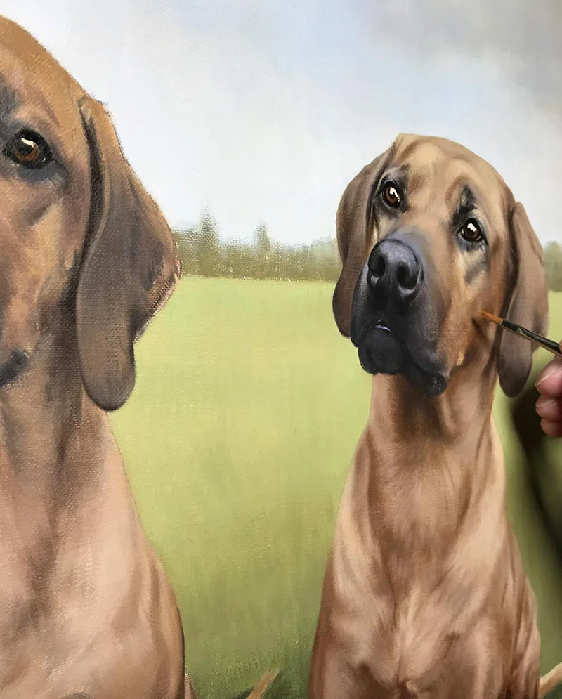 Final Layers – Rhodesian Ridgeback Portrait in Oils, last touches Final layers applied to the Rhodesian Ridgeback portrait in oils, nearing completion