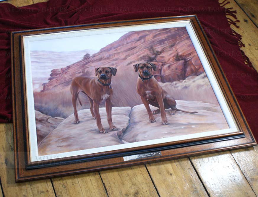 Rhodesian Ridgeback Pet Portraits Framed
