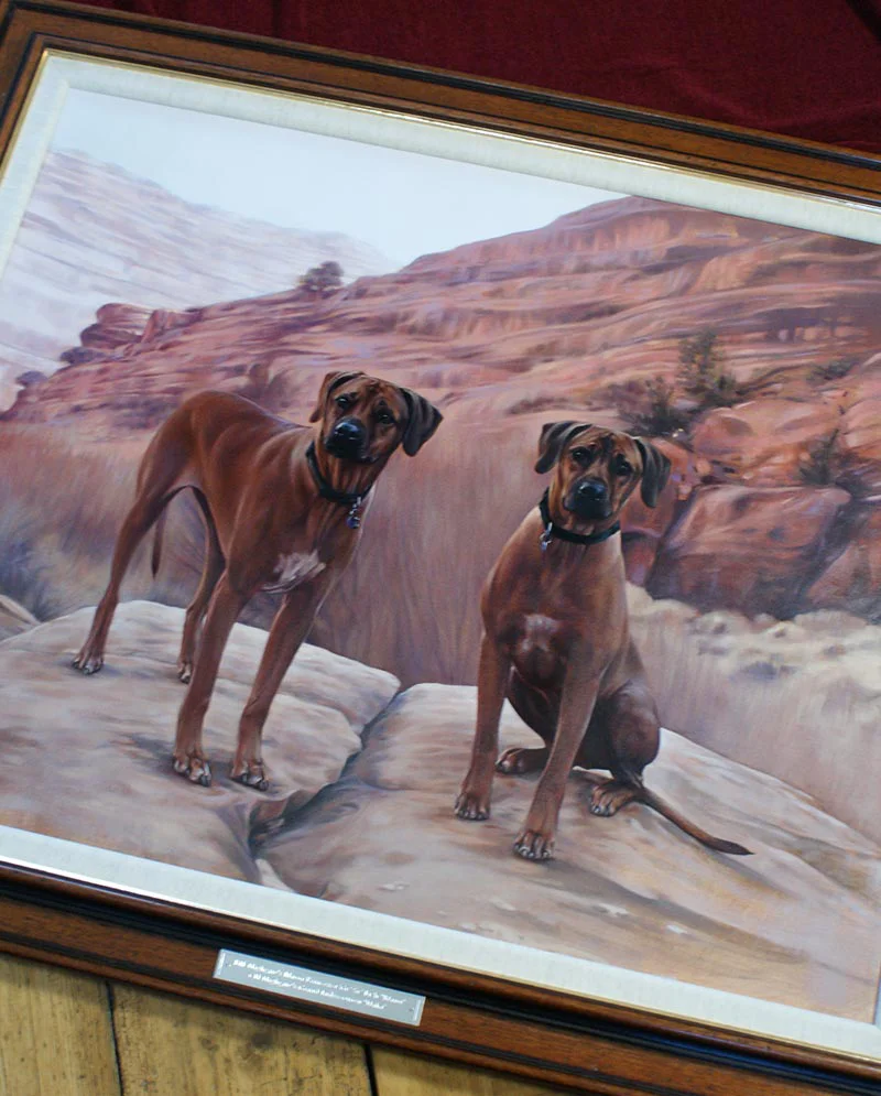 Oil Painting of Two Rhodesian Ridgebacks Framed, showcasing the artwork Oil painting of two Rhodesian Ridgebacks proudly displayed in its frame