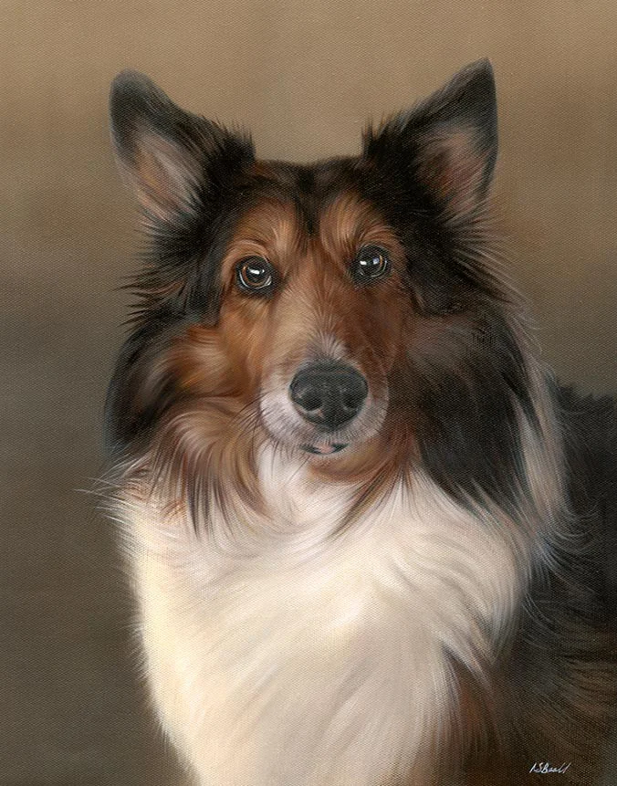 Oil painting of Joey, a Sheltie dog, with his alert expression and flowing mane, by Nicholas Beall.
