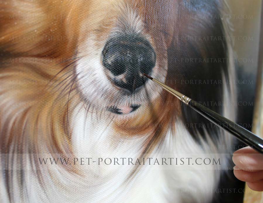 pet portraits close up