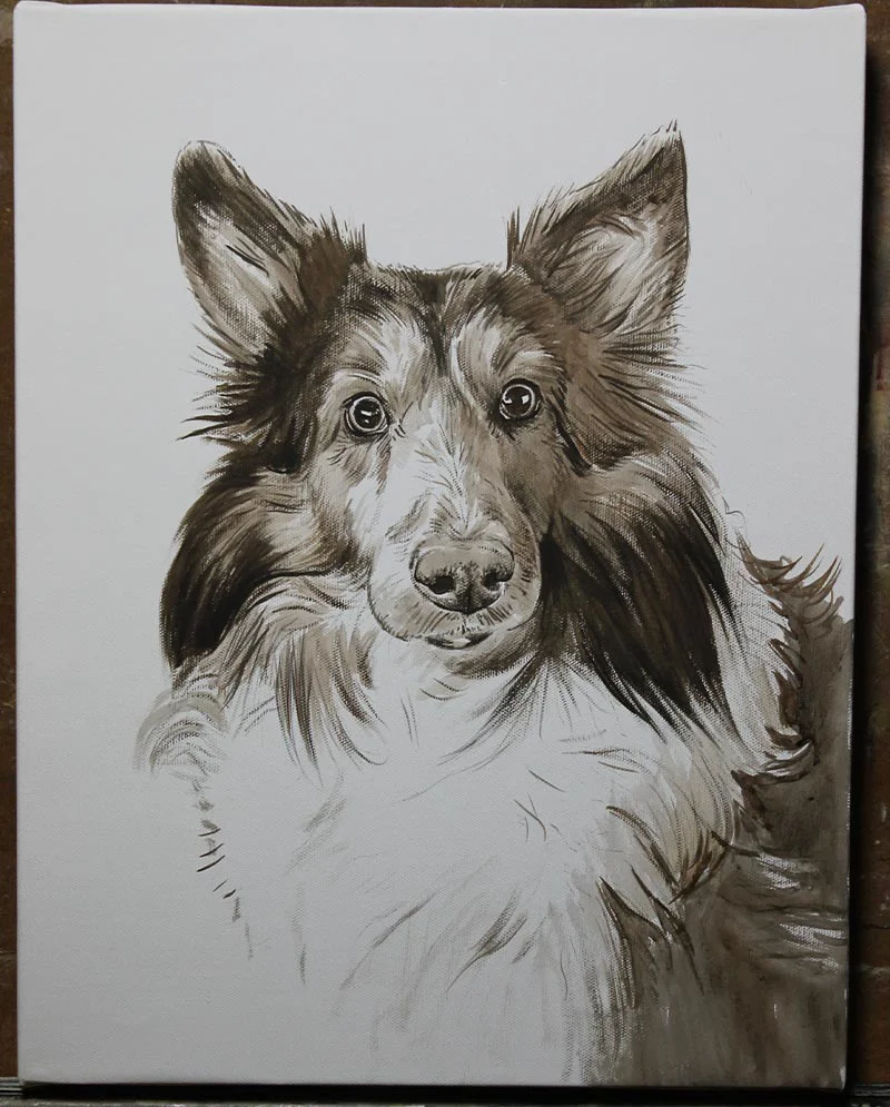 Work in progress of the Sheltie oil portrait, showing initial layers and form