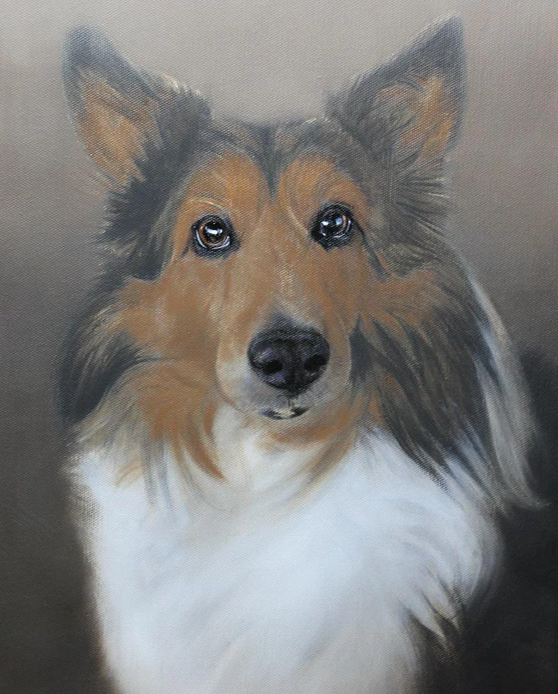 Developing fur texture on the Sheltie oil painting, showing realistic details