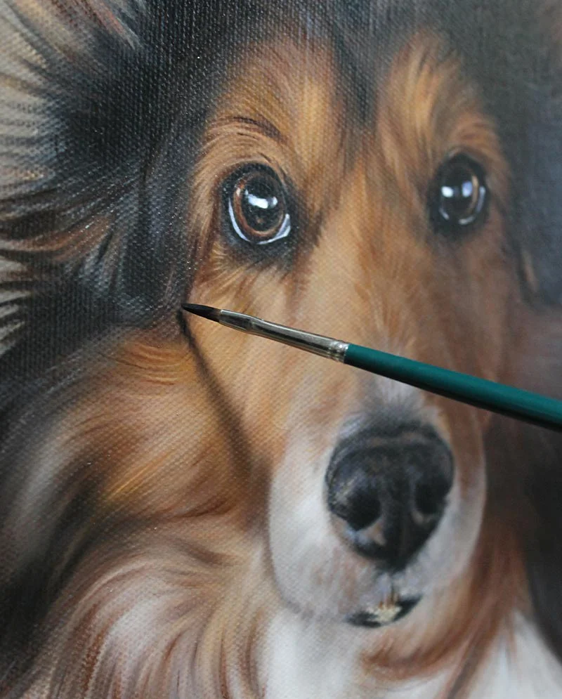 Close-up progress shot of the Sheltie dog portrait, showcasing intricate details