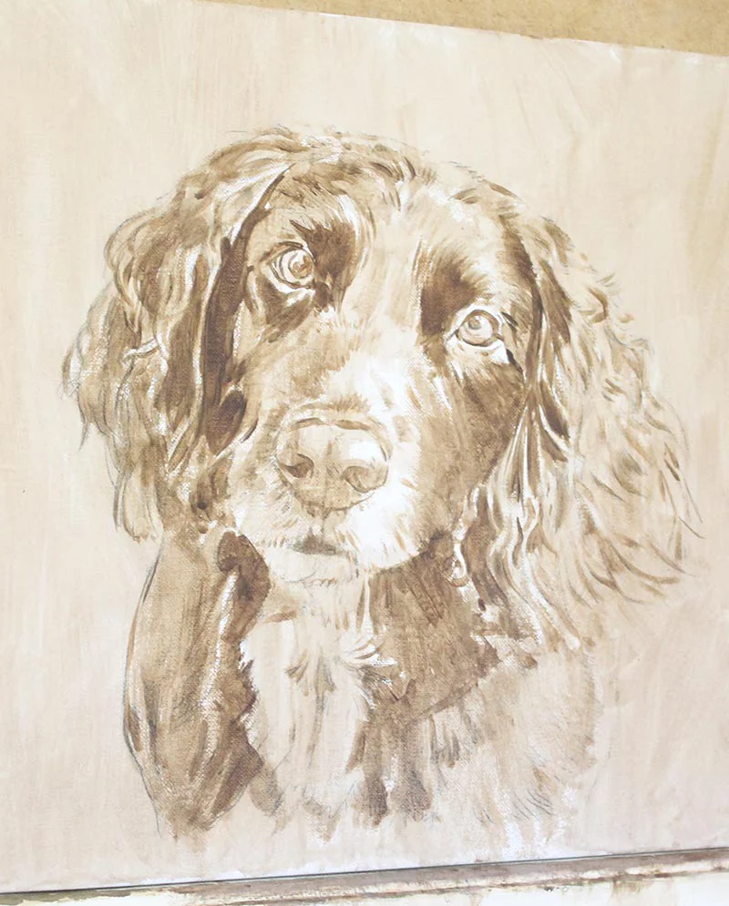 Initial Layers - Spaniel Oil Painting in Progress Initial layers of the Spaniel oil painting, blocking in the dog's form