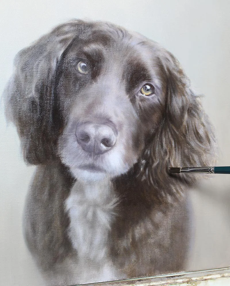 Building Fur Detail - Spaniel Portrait Progress Building fur detail on the Spaniel portrait, showing brushwork and texture