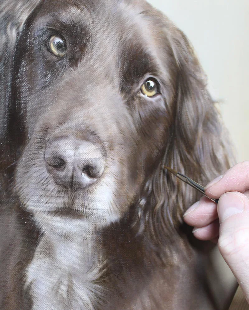 Refining Texture - Spaniel Painting Progress Refining texture on the Spaniel painting, adding realism to the coat