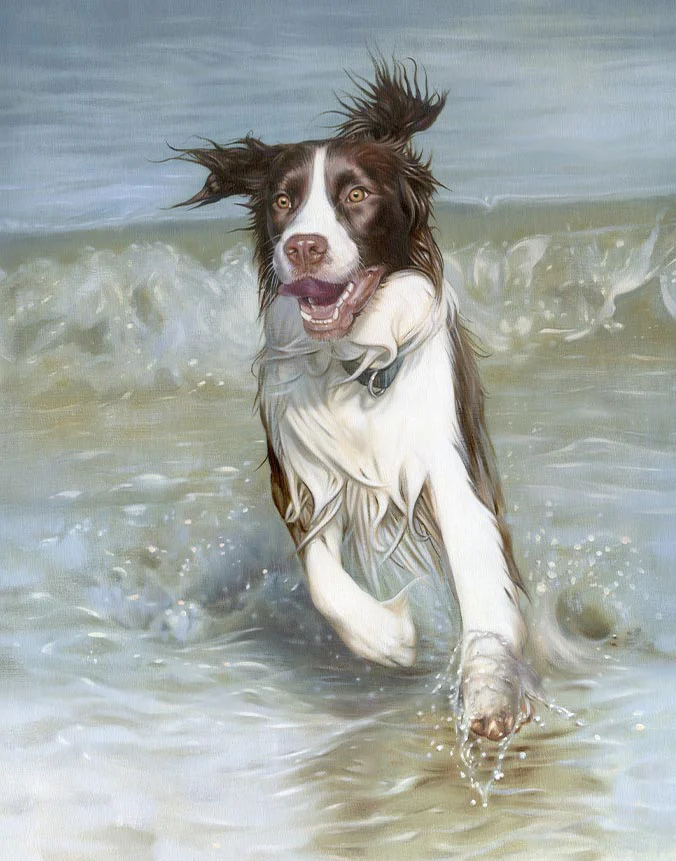 Oil painting of Banjo, an energetic English Springer Spaniel dog, in a dynamic pose, by Nicholas Beall.