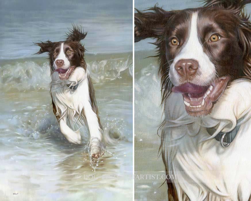 English Springer Spaniel Pet Portraits by Nicholas Beall