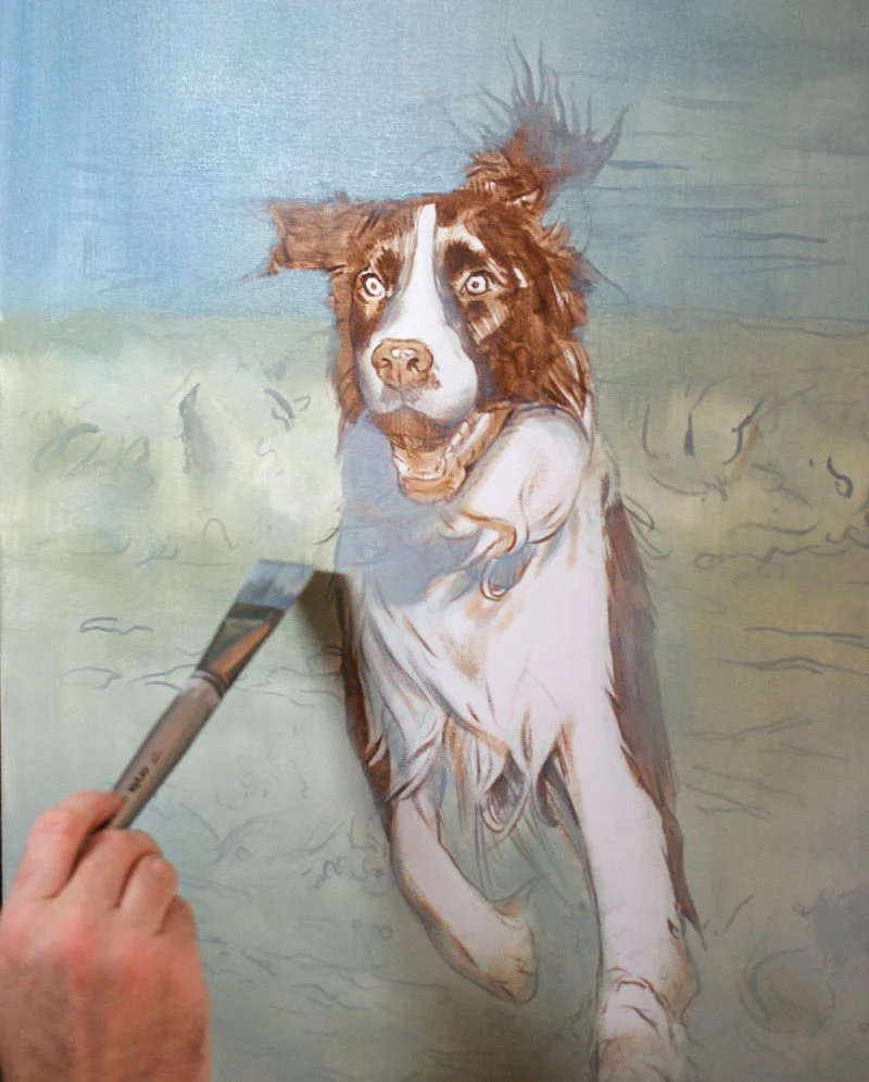 Spaniel Water Portrait – Early Layers Spaniel water portrait of Banjo, showing the early layers of oil paint on canvas.