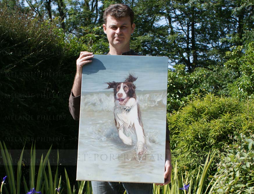 spaniel pet portraits with Nicholas Beall