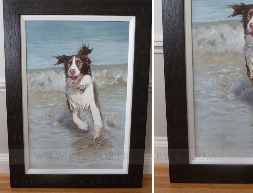 English Springer Spaniel Pet Portraits by Nicholas Beall