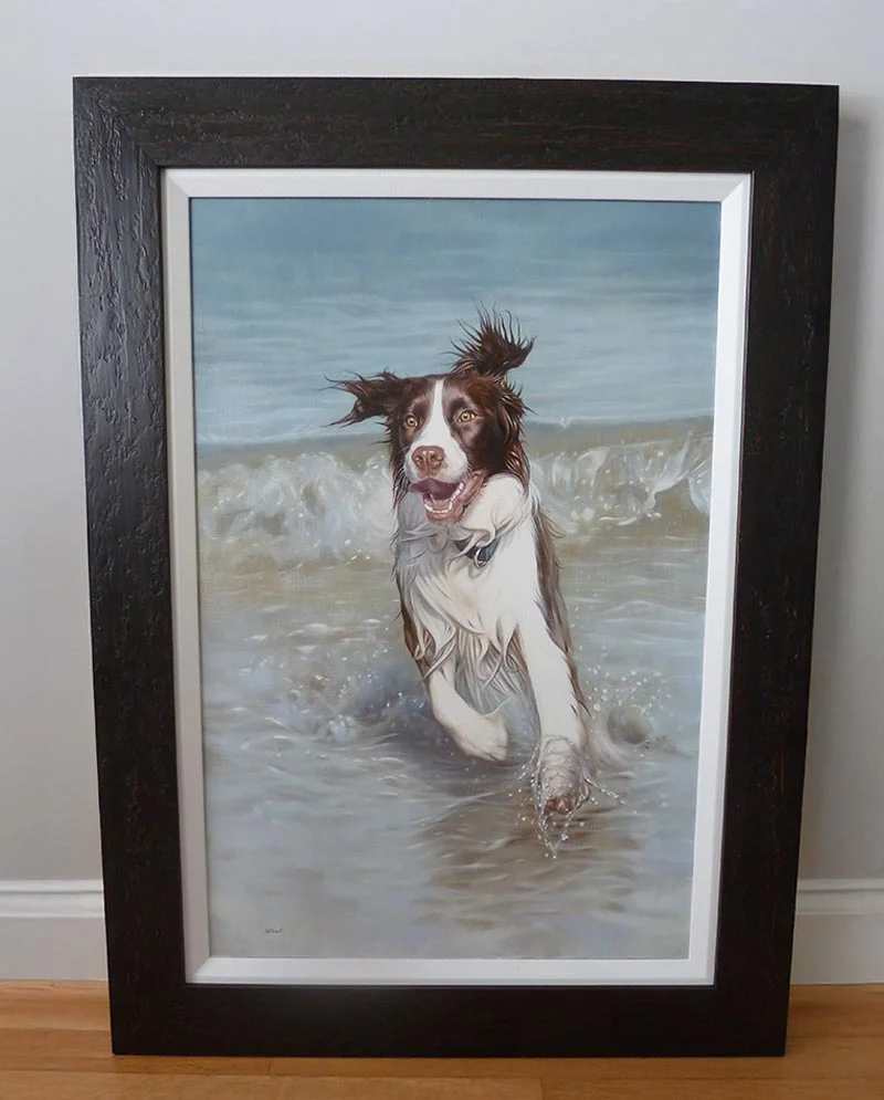 Framed Spaniel Oil Portrait – Jumping in Water Framed oil portrait of Banjo the Spaniel, dynamically captured jumping in water.