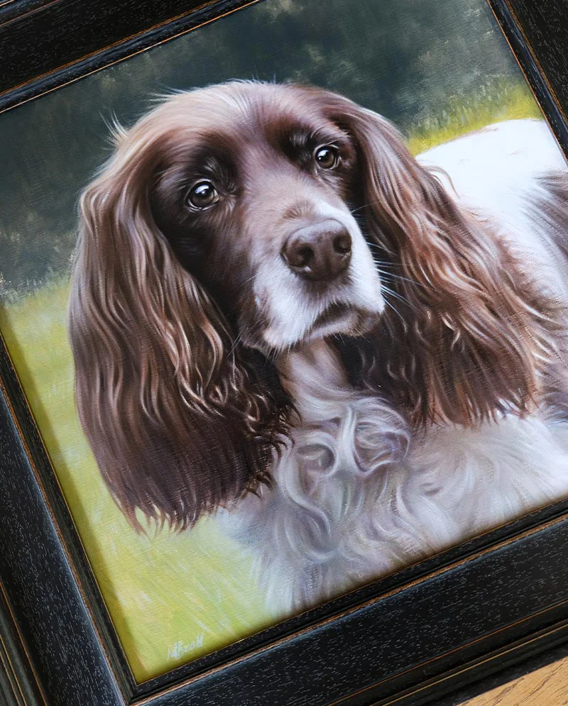 Framed Spaniel Portrait Displayed at Home, showcasing the art Framed Spaniel portrait proudly displayed in a home setting