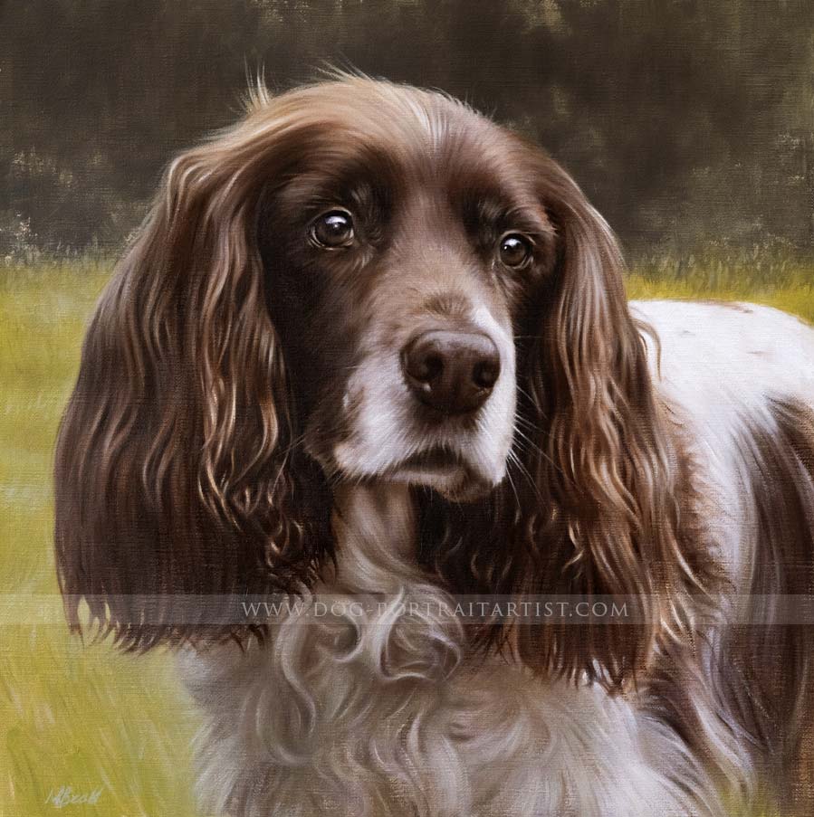 Spaniel Pet Portraits by Nicholas Beall