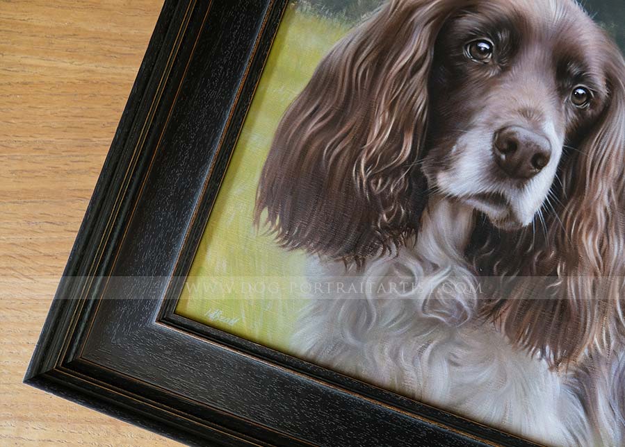 Spaniel Pet Portraits by Nicholas Beall