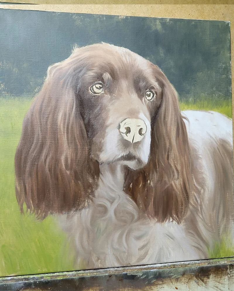 Work in Progress – Spaniel Painting in Oils, building details Work in progress of the Spaniel painting in oils, developing the form and features