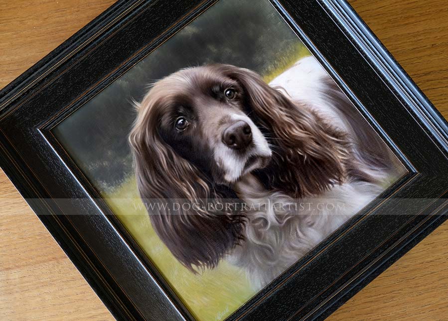 Spaniel Pet Portraits by Nicholas Beall