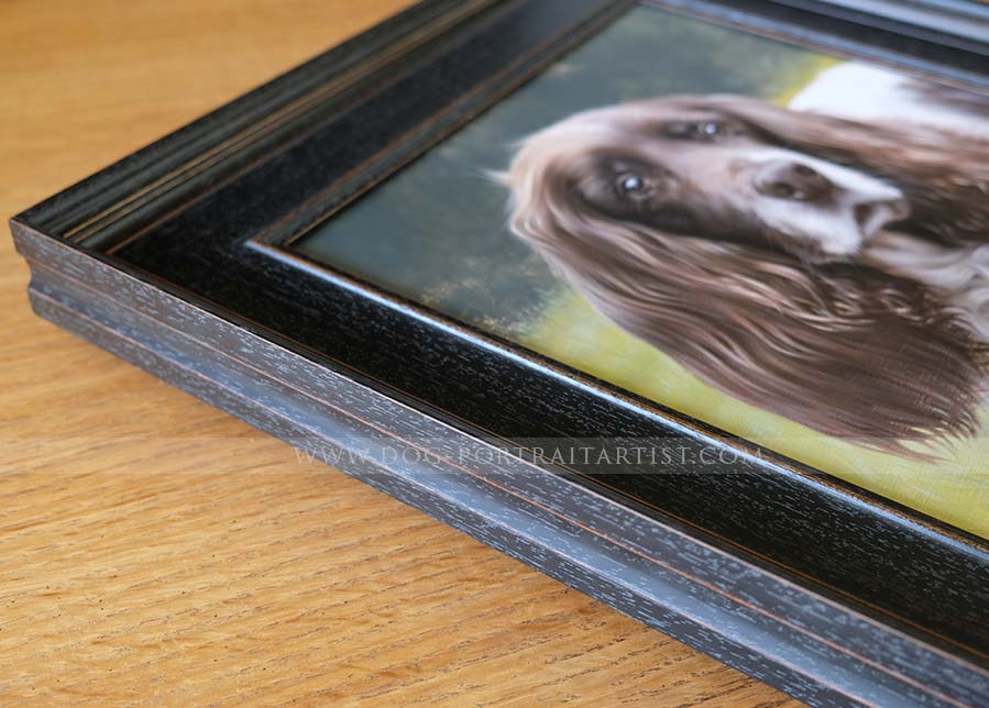 Spaniel Pet Portraits by Nicholas Beall