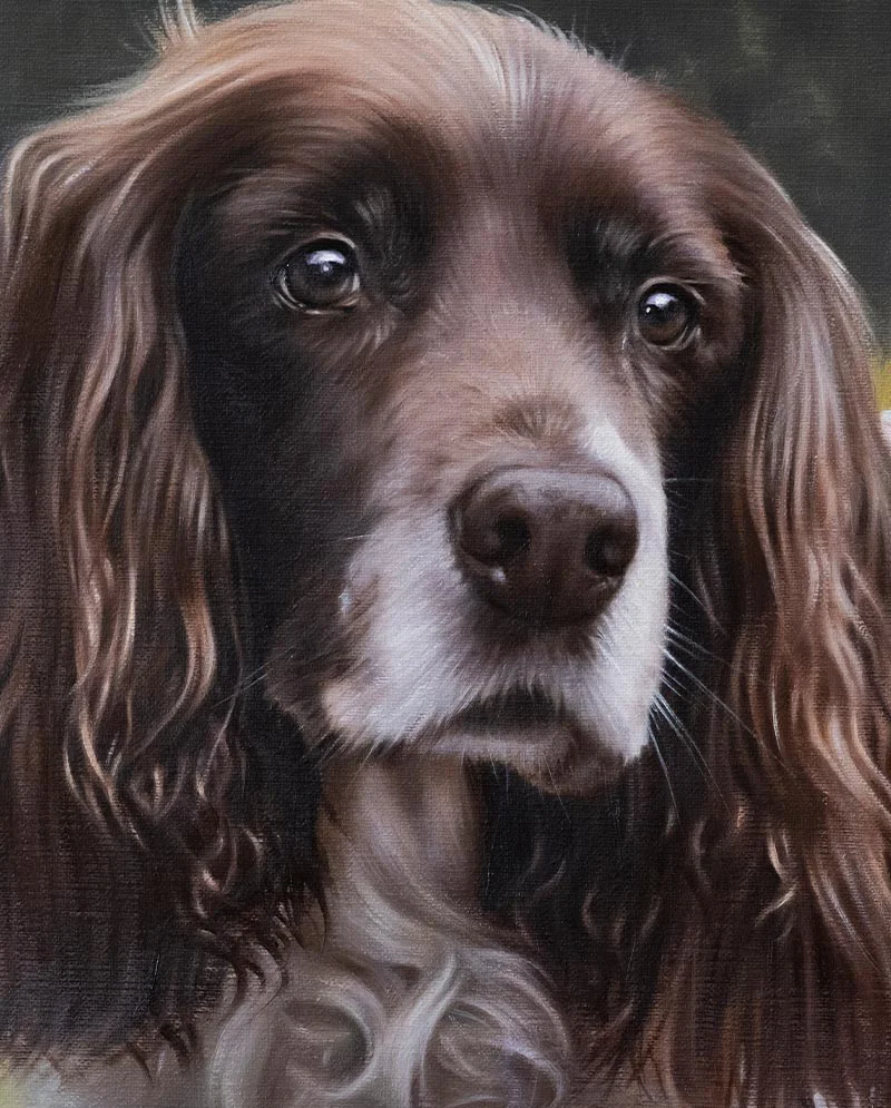 Detail Work – Spaniel Oil Painting, fine artistic touches Close-up detail work on the Spaniel oil painting, highlighting texture and expression