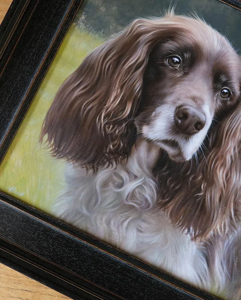 Framed Spaniel Oil Painting, ready for display Beautifully framed oil painting of KitKat the Spaniel