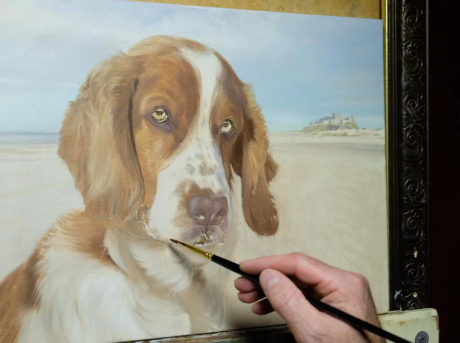 Building Layers – Spaniel Portrait in Oils, adding texture Artist building layers of paint on the Spaniel portrait, focusing on the dog's fur