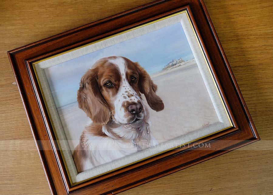 Spaniel Portraits by Nicholas Beall