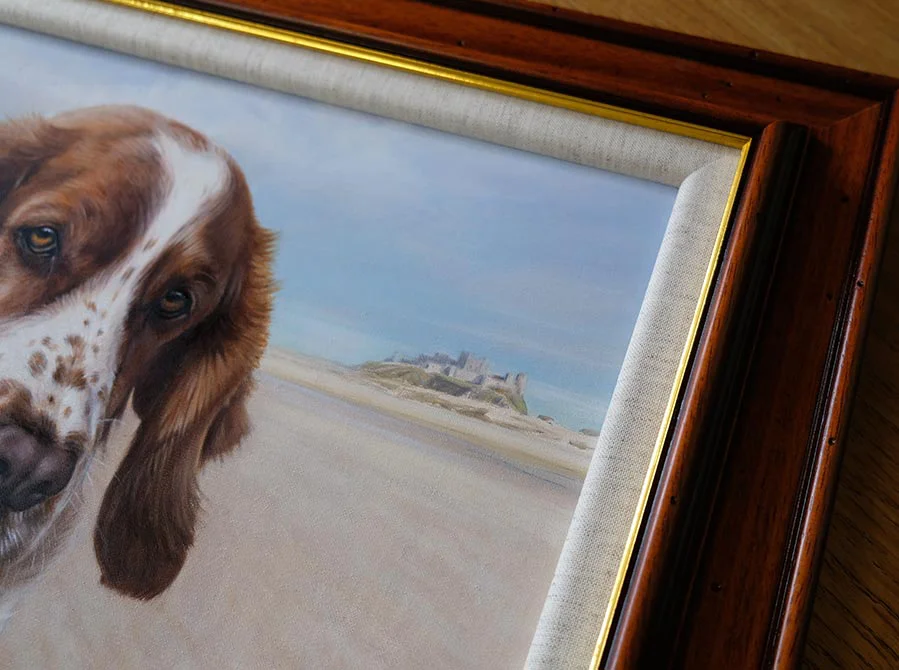 Spaniel Portrait Displayed in Frame, adding elegance Framed Spaniel portrait displayed prominently in a home setting