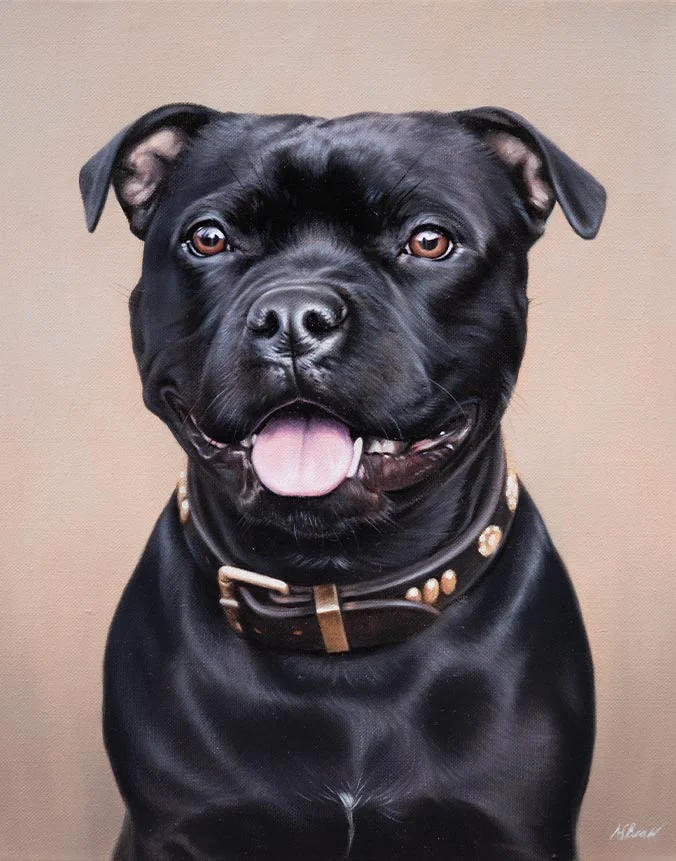 Oil painting of Nell, a loyal Staffy dog, with her characteristic features, by Nicholas Beall.