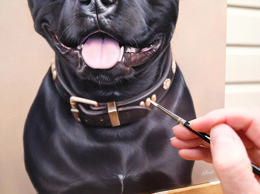 Oil Painting of Nell the Staffy Dog in Progress, building details Oil painting of Nell the Staffy dog in progress, with developing features and fur