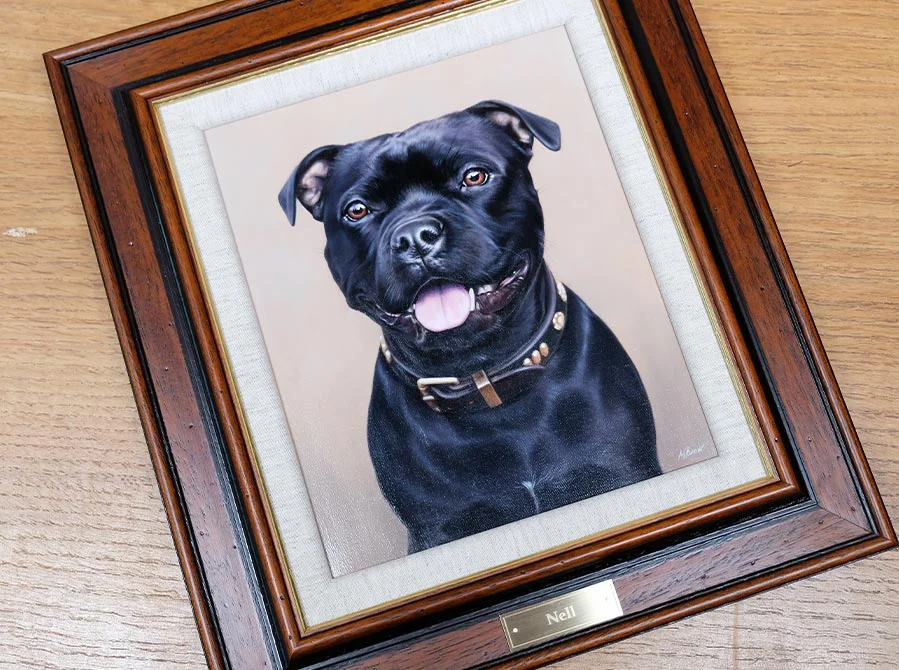 Detail from Staffy Oil Painting, showing realism Detail shot from the Staffy oil painting, showcasing the texture of the fur