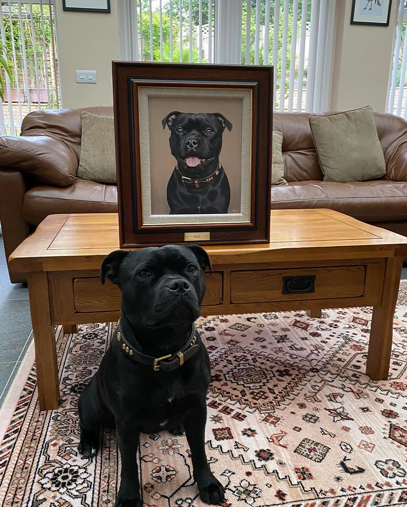 Happy Client with Nell's Portrait, a joyful moment Happy client posing with the framed oil portrait of their Staffy, Nell