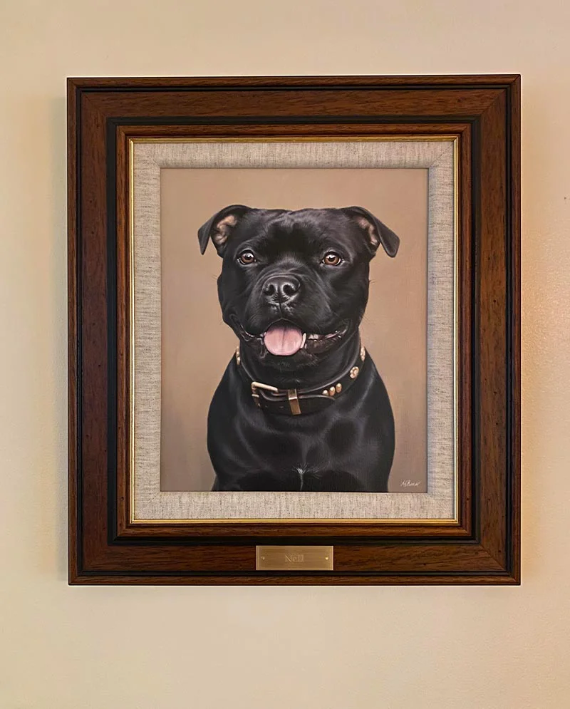 Staffy Portrait with Clients at Home, showcasing the artwork Staffy portrait proudly displayed at clients' home, adding a personal touch
