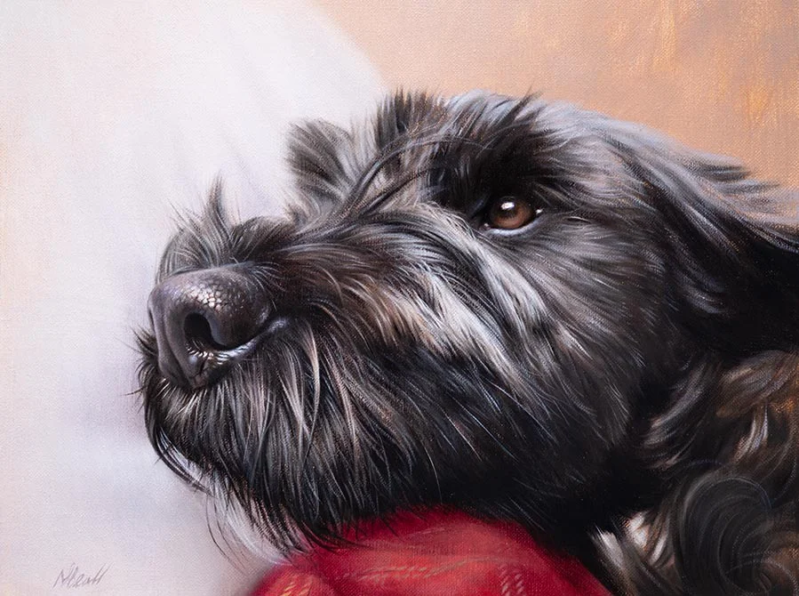 Oil painting of Lottie, a lively Tibetan Terrier dog, capturing her distinctive fur and expression, by Nicholas Beall.