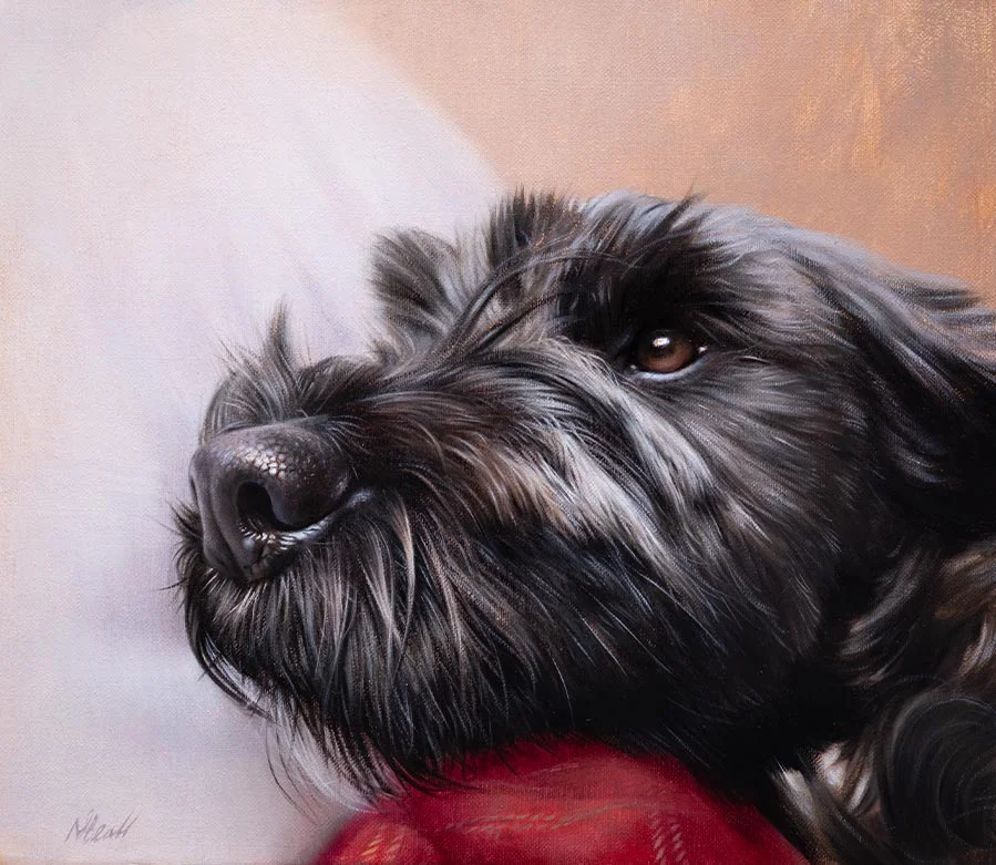 Close-up of Tibetan Terrier portrait by Nicholas Beall Close-up of the finished Tibetan Terrier portrait of Lottie by Nicholas Beall, showing fine detail