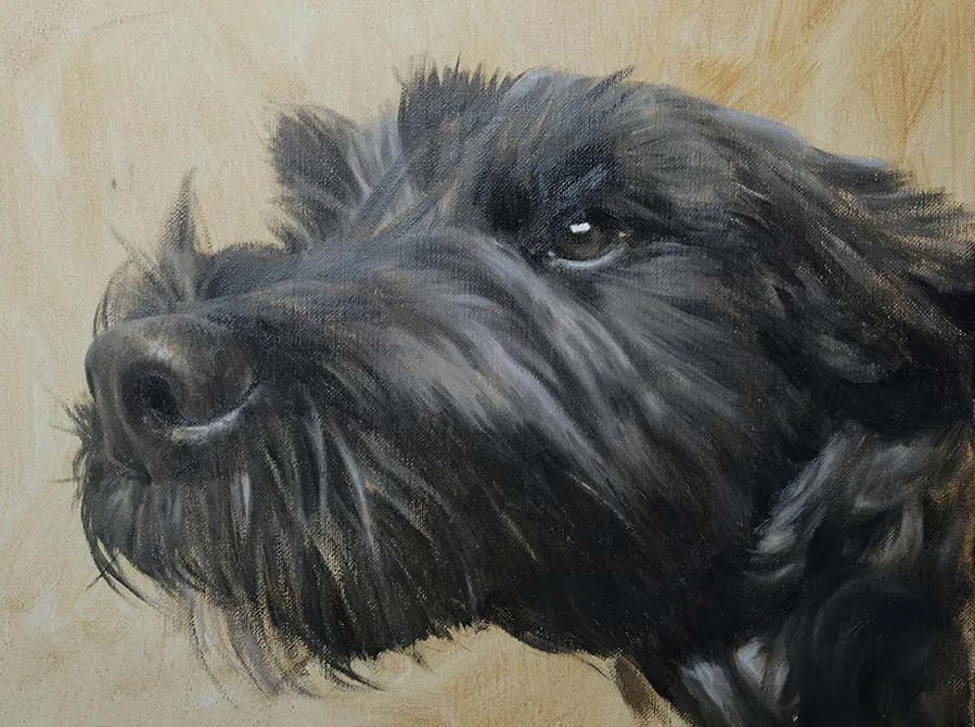 Tibetan Terrier Oil Painting Early Stages, foundational layers Early stages of the Tibetan Terrier oil painting, showing initial sketch and underpainting