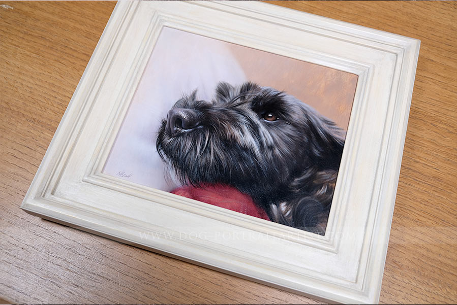 Poodle Dog Portrait