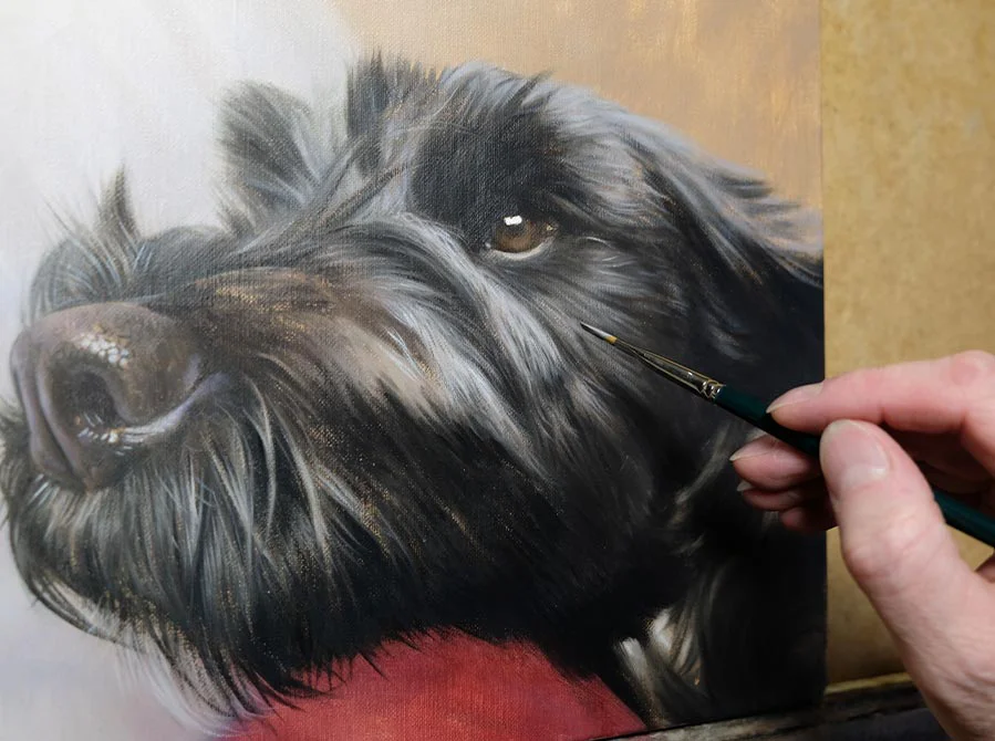 Tibetan Terrier Oil Painting Detailing Stage, refining elements Tibetan Terrier oil painting in the detailing stage, adding fur and texture