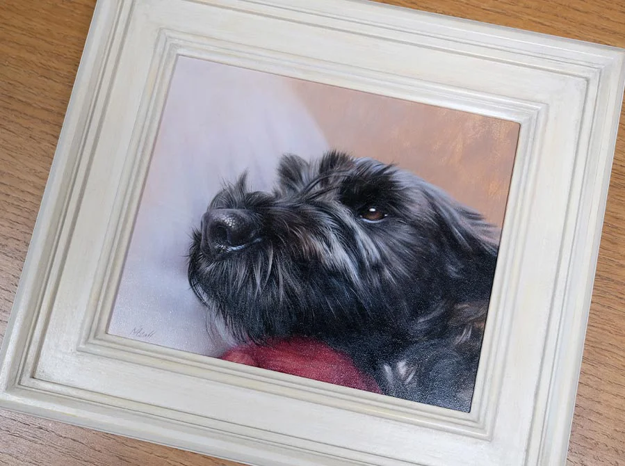 Framed Tibetan Terrier Oil Portrait on Display, an elegant presentation Framed Tibetan Terrier oil portrait of Lottie proudly displayed